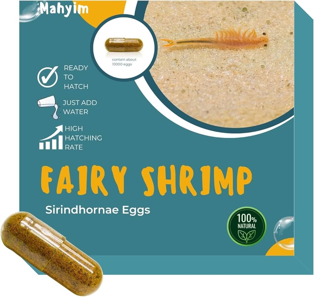 Blue Fairy Shrimp Health Problems