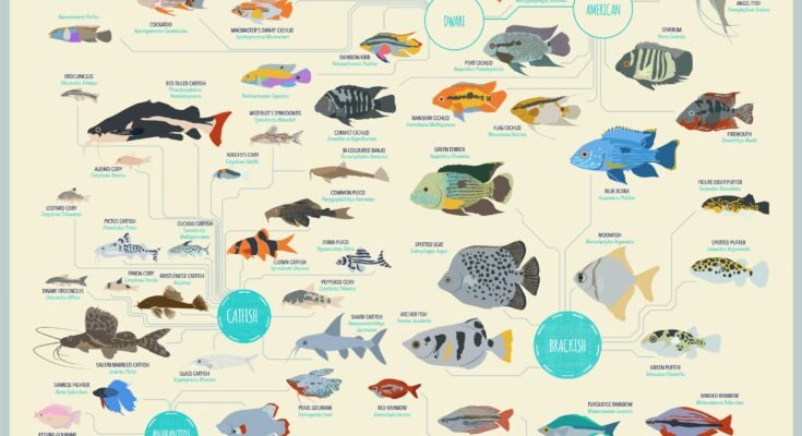 Tropical Fish Guide